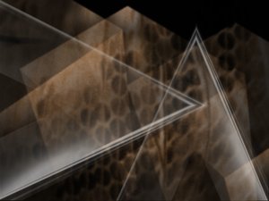 标签体系
